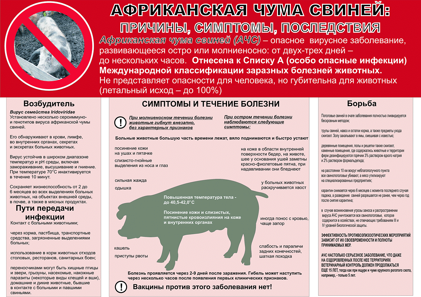 Памятка для населения  &quot;Африканская чума свиней&quot;.