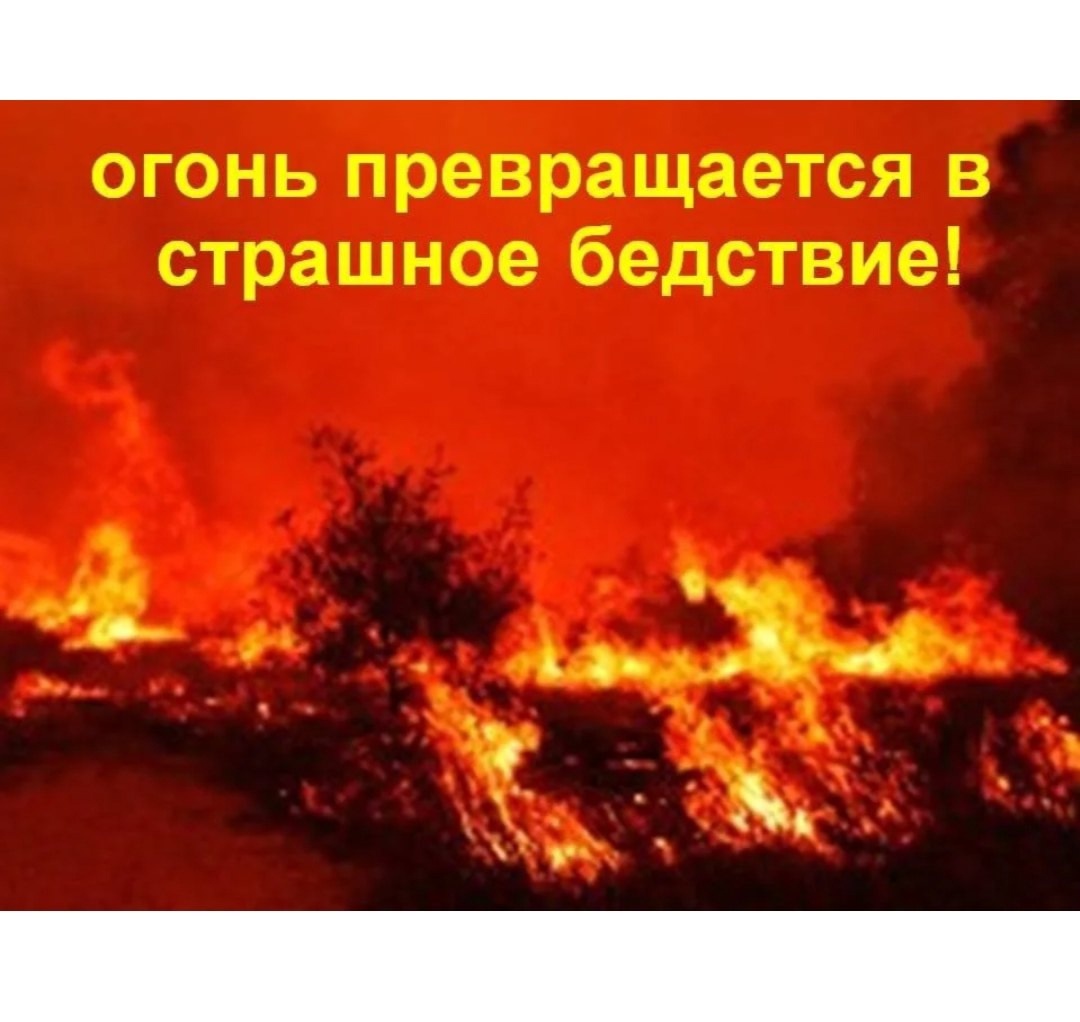Правила поведения в пожароопасный период.