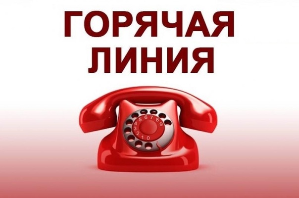 с 2 по 11 июня 2025 года «горячая линия» по вопросам соблюдения прав несовершеннолетних, в том числе учащихся образовательных организаций в период проведения государственной итоговой аттестации (ЕГЭ).