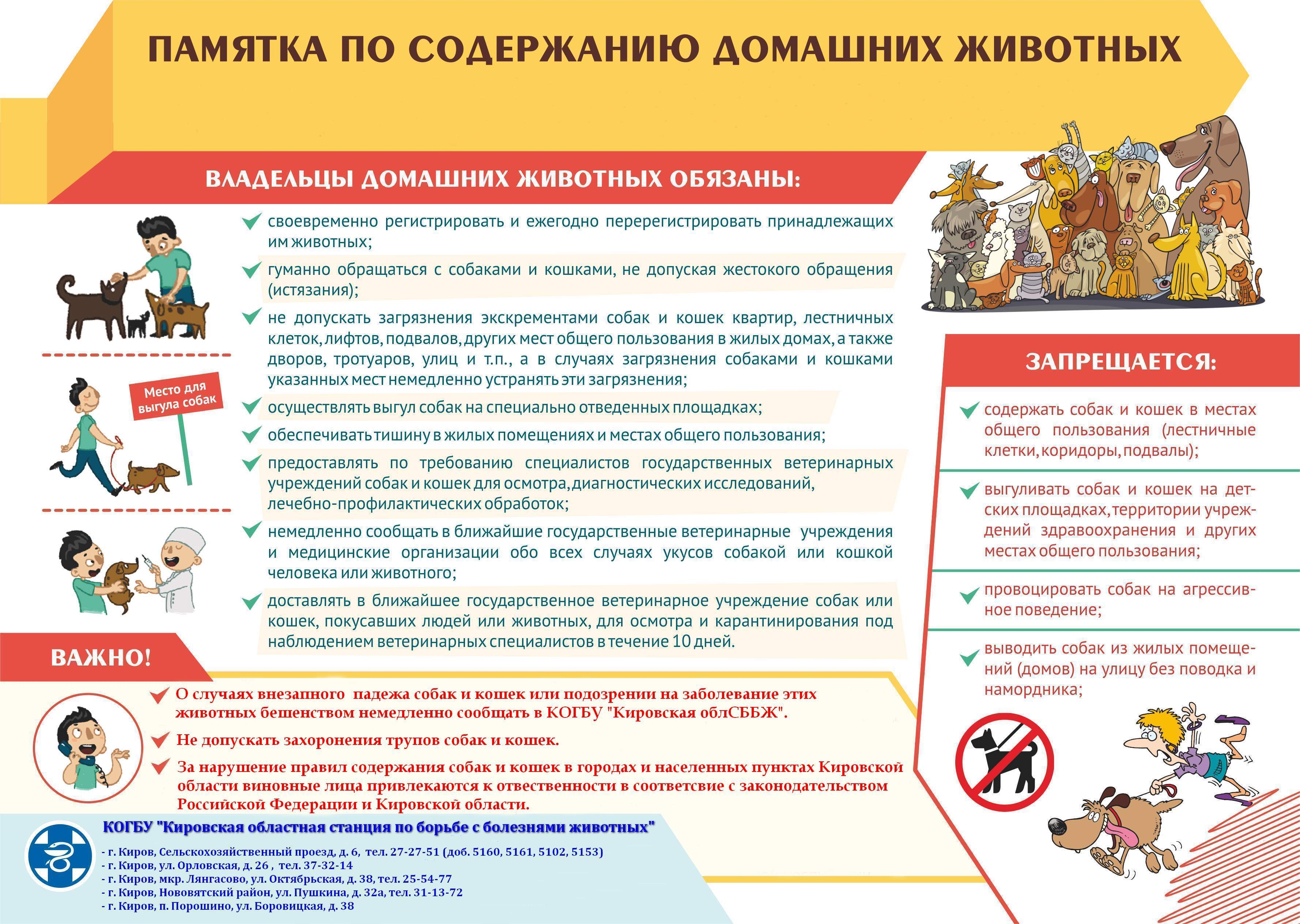Памятка по содержанию собак.